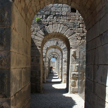 New (And Old) Technologies and Materials for Designing with Nature - image