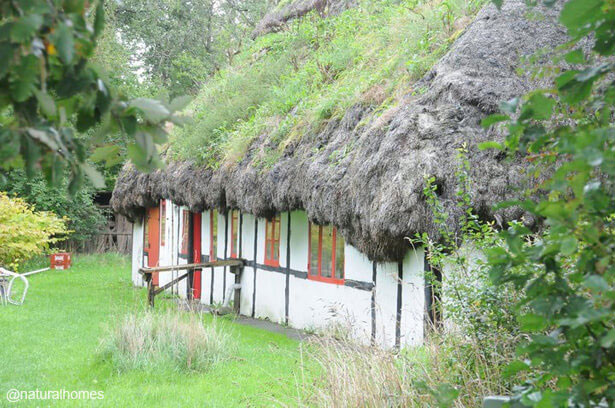 Eelgrass sustainable roofing material