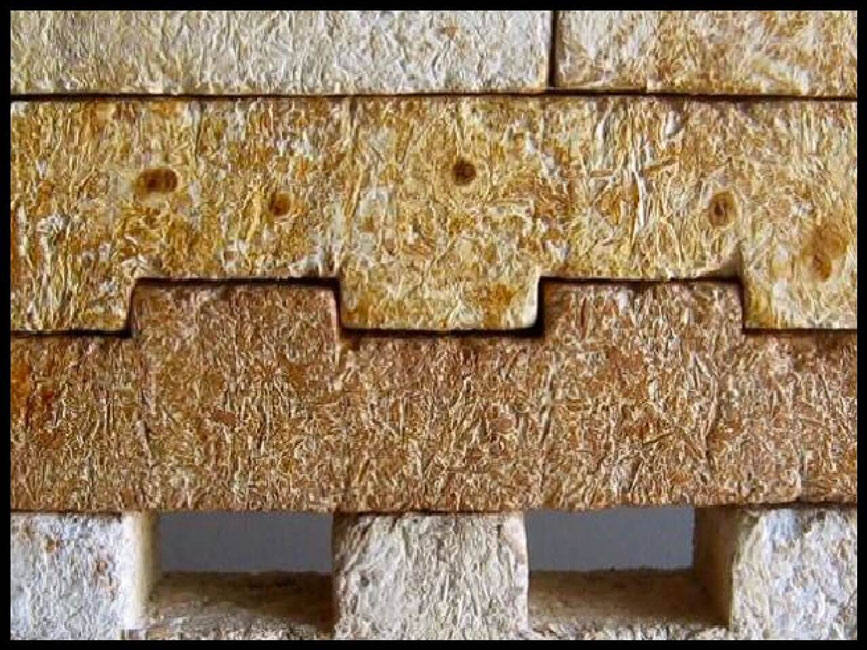 Mycelium building materials